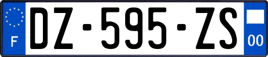 DZ-595-ZS