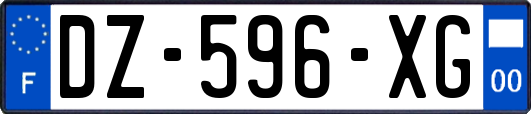 DZ-596-XG