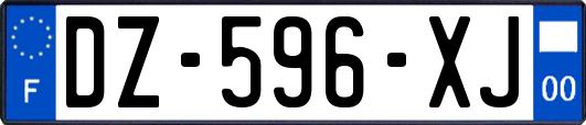 DZ-596-XJ