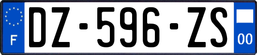 DZ-596-ZS