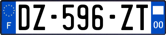 DZ-596-ZT