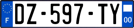 DZ-597-TY