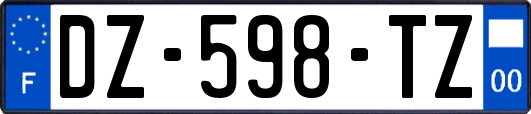 DZ-598-TZ