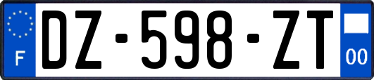 DZ-598-ZT