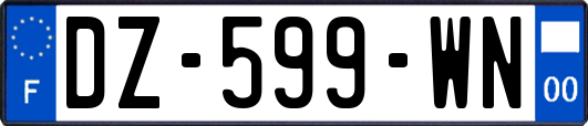 DZ-599-WN