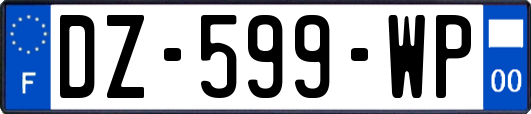 DZ-599-WP