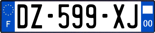 DZ-599-XJ