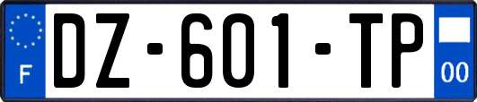 DZ-601-TP