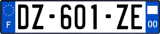 DZ-601-ZE