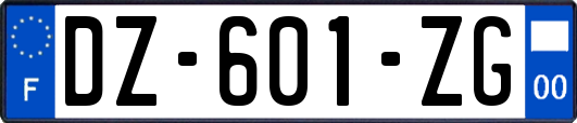 DZ-601-ZG