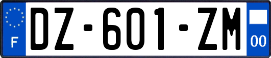 DZ-601-ZM