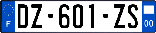 DZ-601-ZS