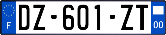 DZ-601-ZT