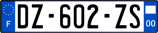 DZ-602-ZS