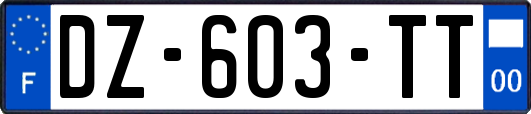 DZ-603-TT