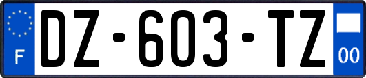 DZ-603-TZ