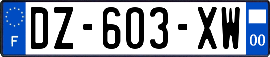 DZ-603-XW