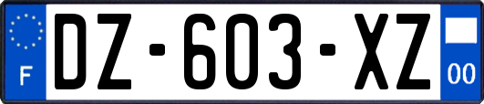 DZ-603-XZ