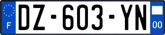 DZ-603-YN