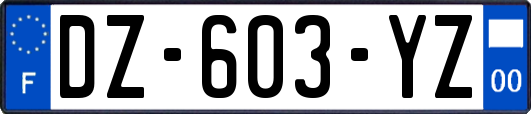 DZ-603-YZ