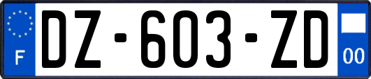 DZ-603-ZD