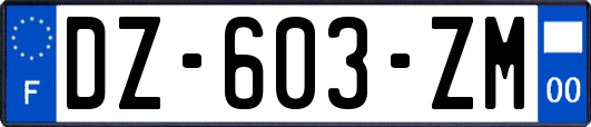 DZ-603-ZM