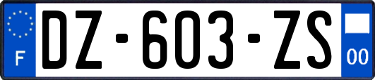 DZ-603-ZS