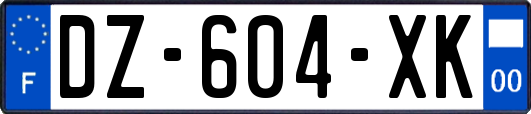 DZ-604-XK