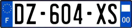 DZ-604-XS