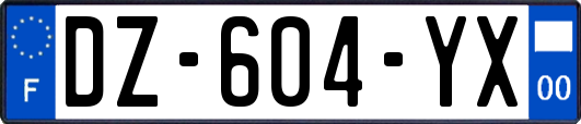 DZ-604-YX