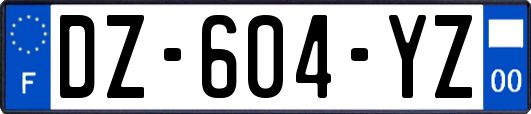 DZ-604-YZ