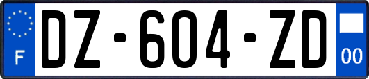 DZ-604-ZD