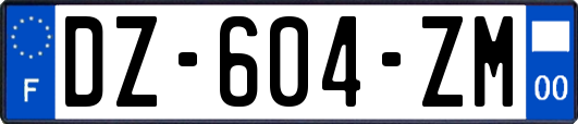 DZ-604-ZM