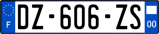 DZ-606-ZS