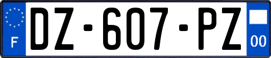 DZ-607-PZ