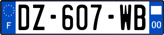 DZ-607-WB