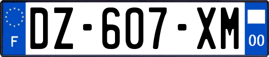 DZ-607-XM