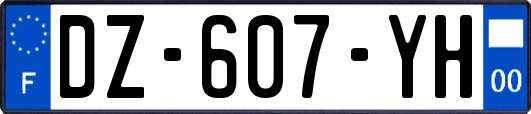 DZ-607-YH