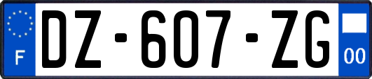 DZ-607-ZG