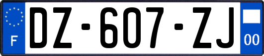 DZ-607-ZJ