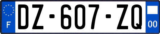 DZ-607-ZQ