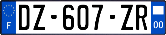 DZ-607-ZR