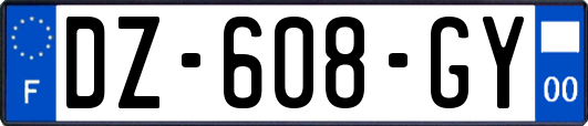 DZ-608-GY