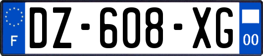 DZ-608-XG