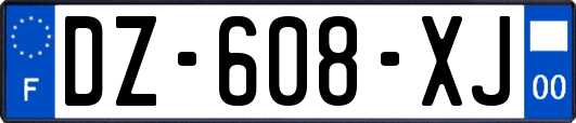 DZ-608-XJ