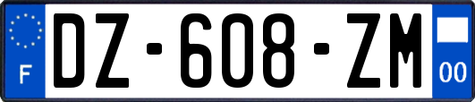 DZ-608-ZM