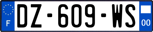 DZ-609-WS