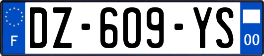 DZ-609-YS