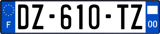 DZ-610-TZ