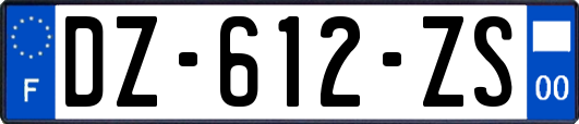 DZ-612-ZS